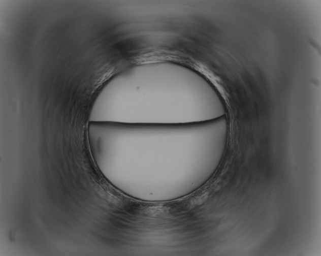 X0000093580153200710151004