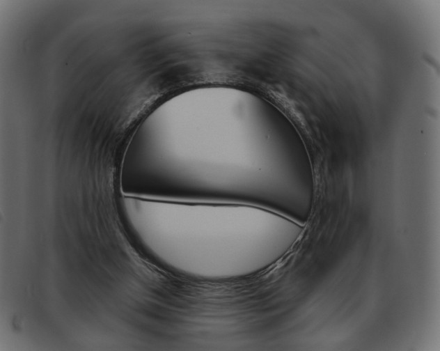 X0000093580154200710151004