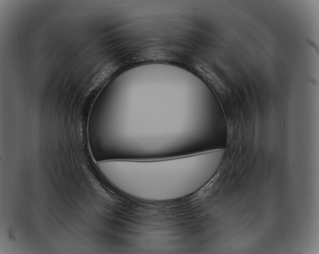 X0000093580158200710151004
