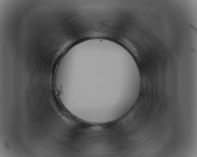 X0000093580159200710151004