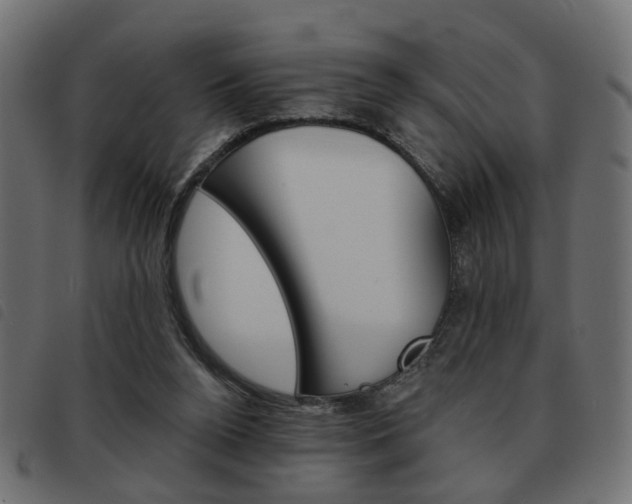 X0000093580160200710151004