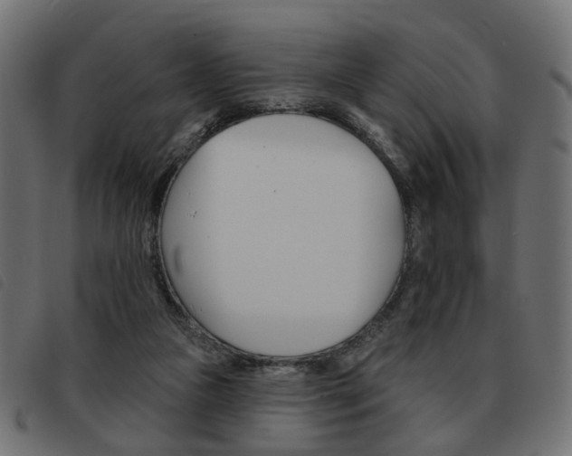 X0000093580161200710151004