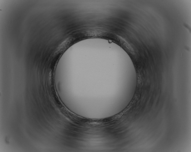 X0000093580163200710151004