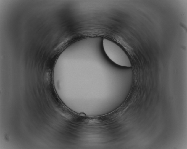 X0000093580165200710151004