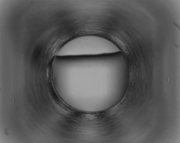 X0000093580166200710151004