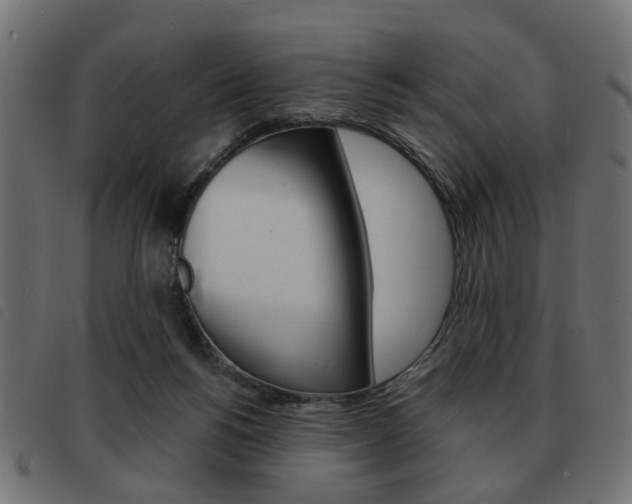 X0000093580168200710151004