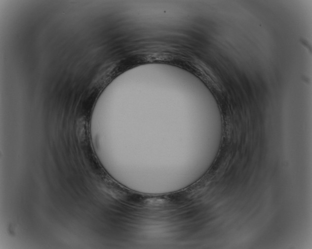 X0000093580169200710151004