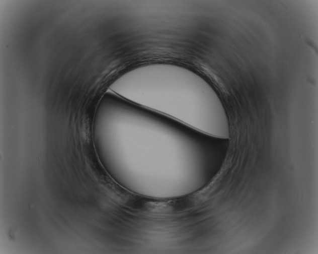 X0000093580170200710151004