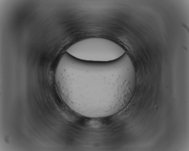 X0000093580171200710151004