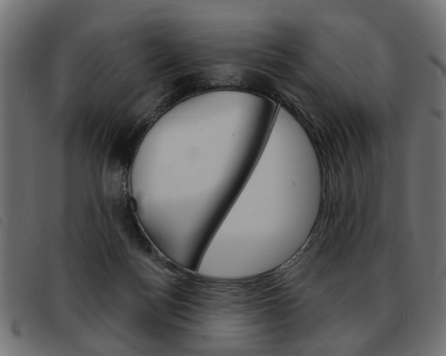 X0000093580172200710151004