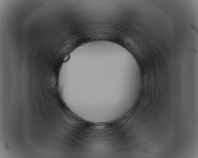 X0000093580173200710151004