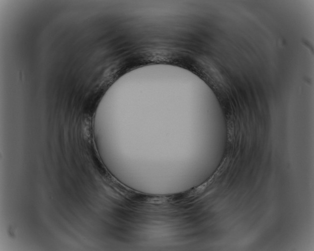 X0000093580175200710151004