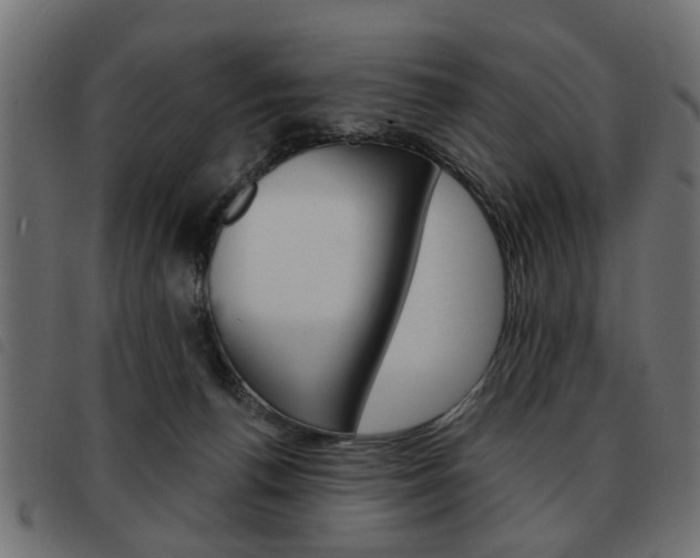 X0000093580176200710151004