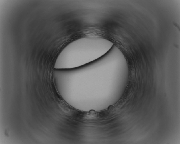 X0000093580177200710151004