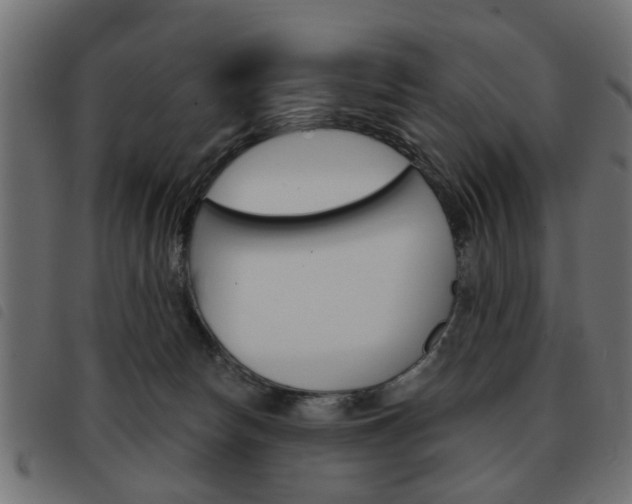 X0000093580178200710151004