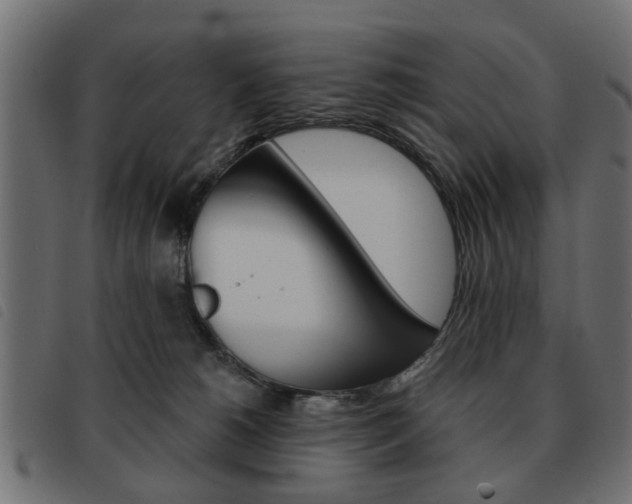 X0000093580180200710151004