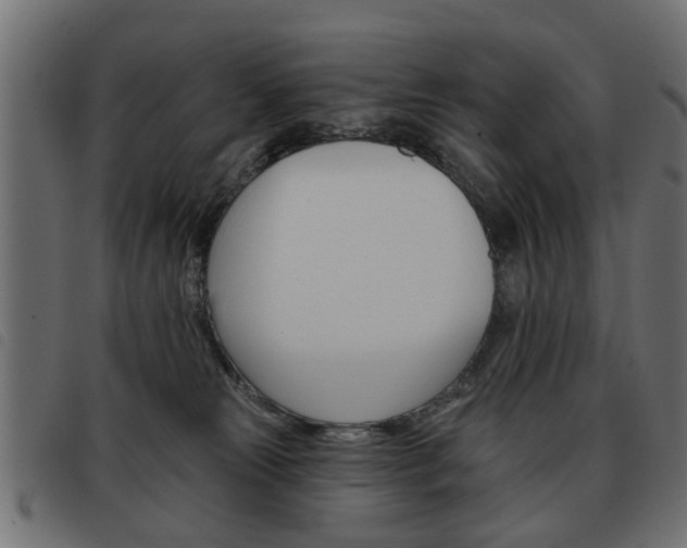 X0000093580181200710151004