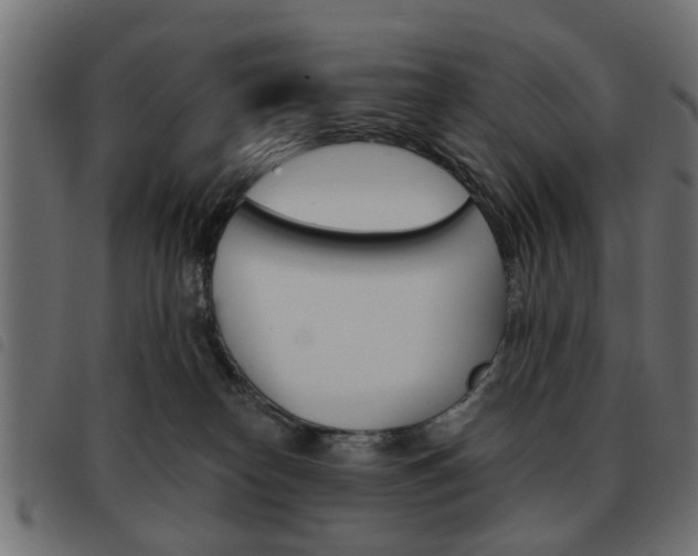 X0000093580182200710151005