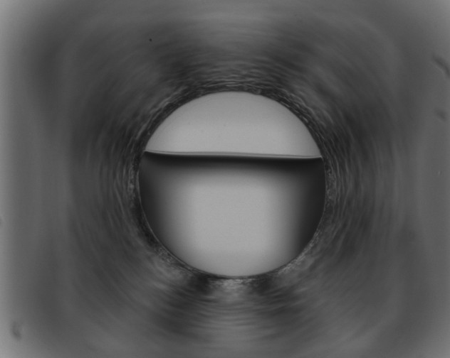 X0000093580184200710151005