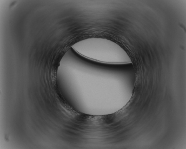 X0000093580186200710151005