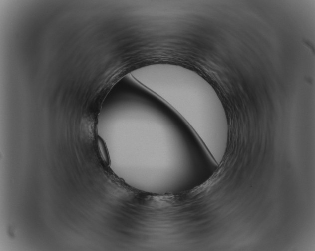 X0000093580188200710151005