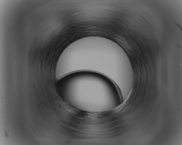 X0000093580190200710151005