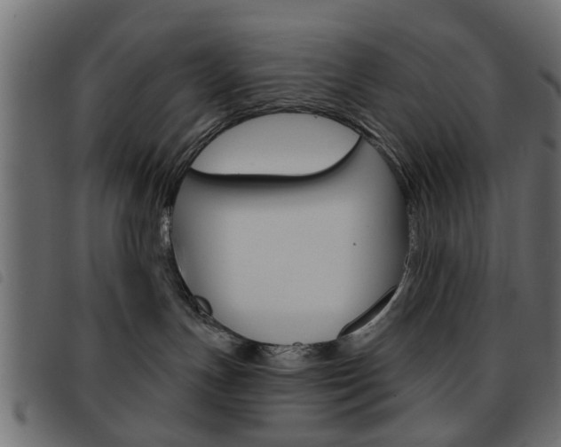 X0000093580191200710151005