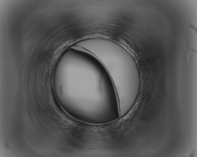 X0000093580193200710151004