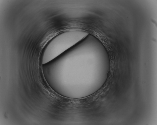 X0000093580194200710151004