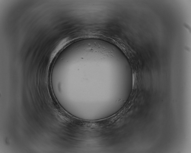 X0000093580195200710151004