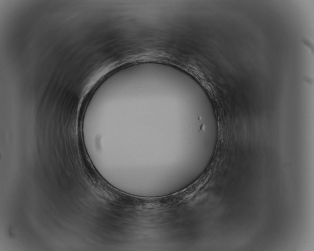 X0000093580196200710151004
