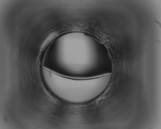 X0000093580197200710151004