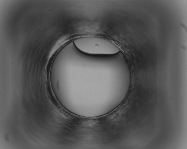X0000093580198200710151004