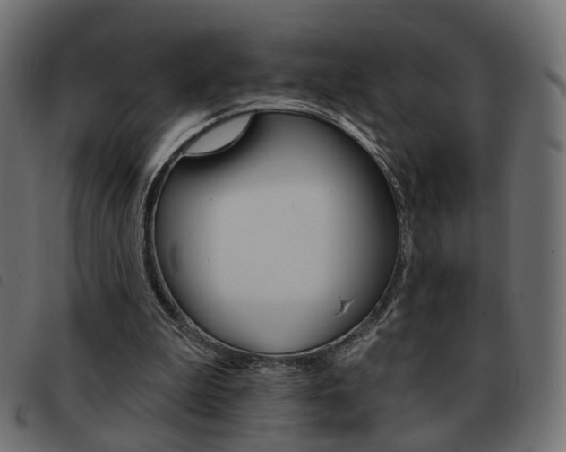 X0000093580199200710151004