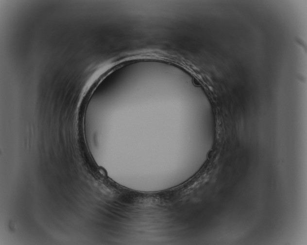 X0000093580200200710151004