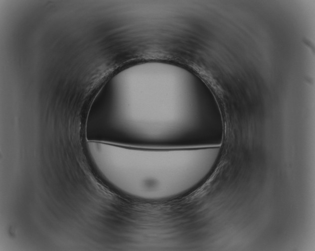 X0000093580201200710151004