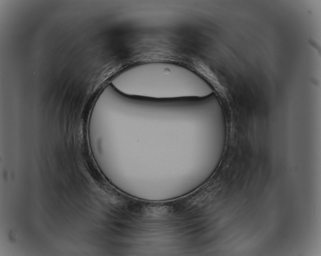 X0000093580202200710151004