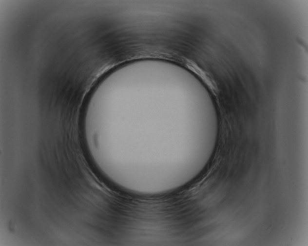 X0000093580203200710151004