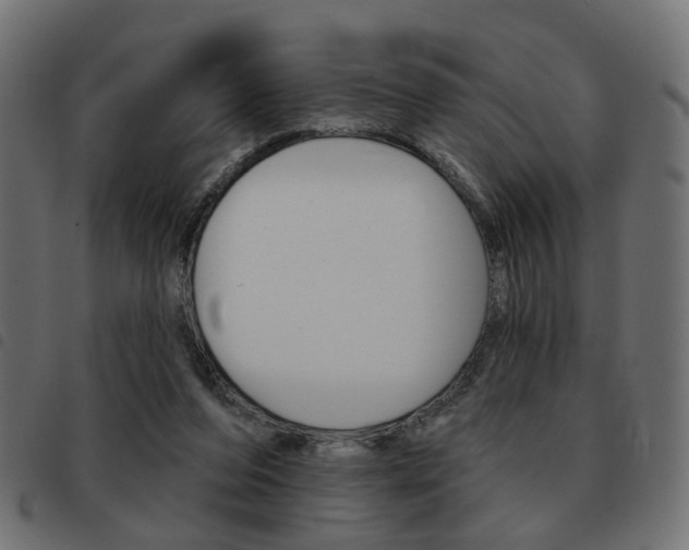 X0000093580208200710151004