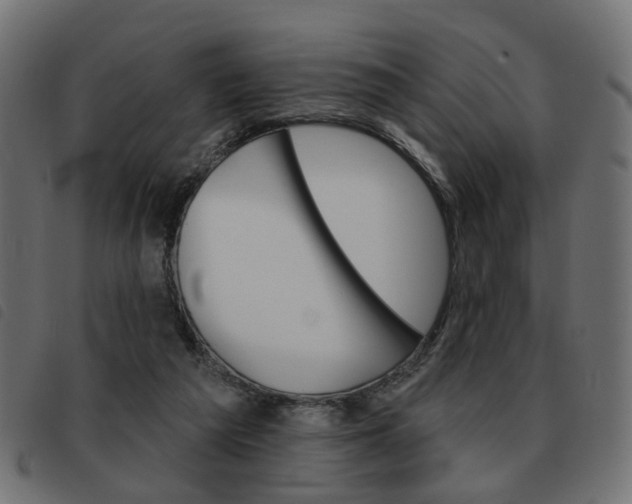 X0000093580209200710151004
