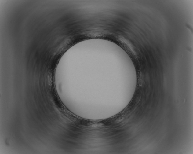 X0000093580210200710151004