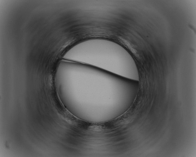 X0000093580211200710151004