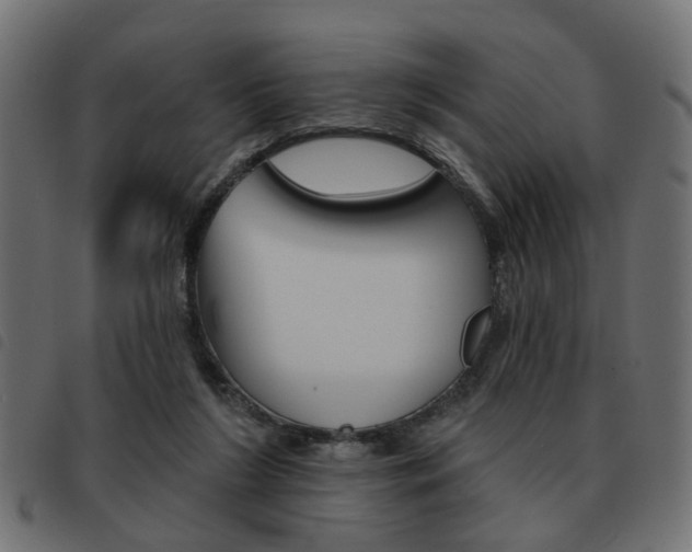 X0000093580212200710151004