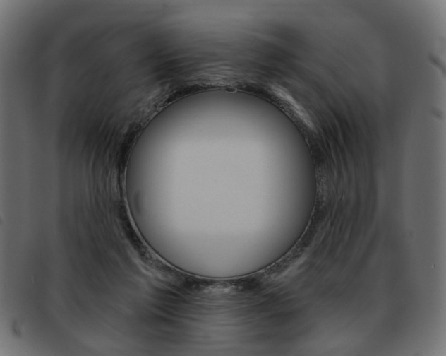 X0000093580213200710151004