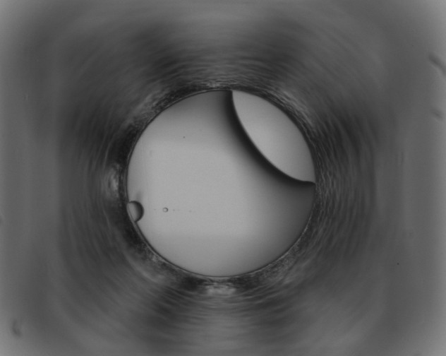 X0000093580214200710151004