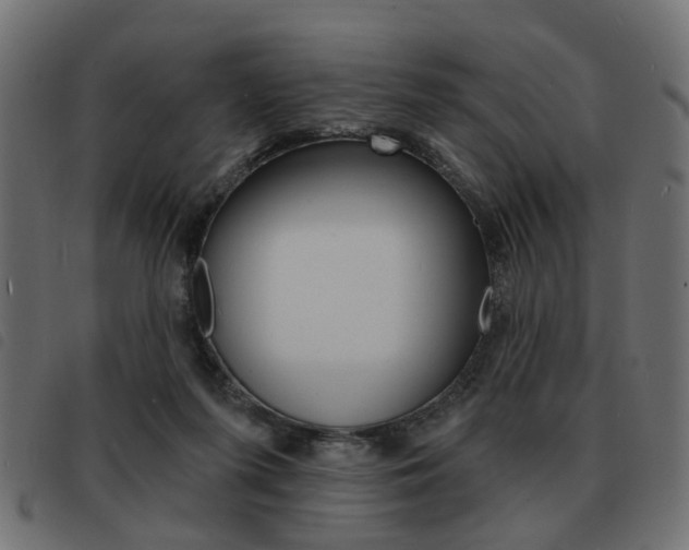 X0000093580215200710151004