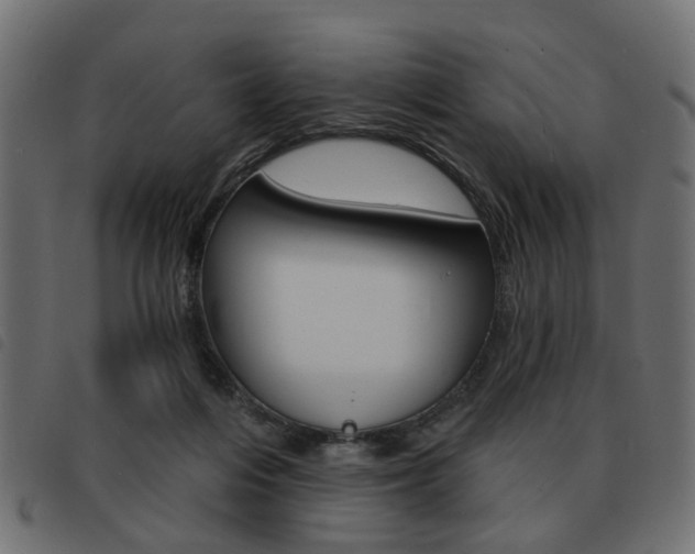 X0000093580216200710151004