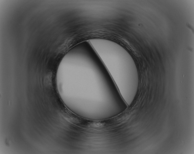 X0000093580217200710151004