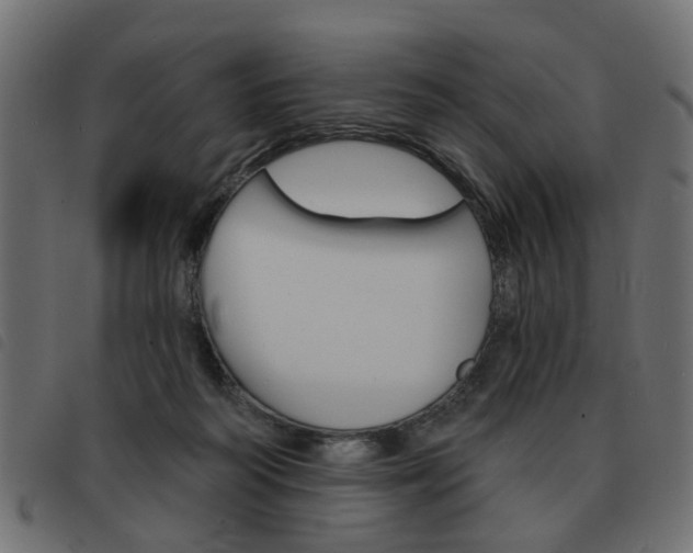 X0000093580218200710151004