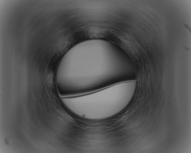 X0000093580219200710151004